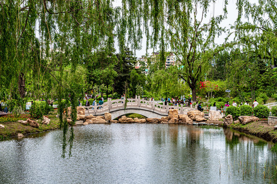 中國(guó)長(zhǎng)春牡丹園風(fēng)景