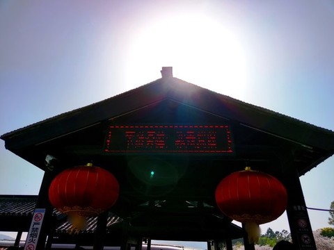 陽光下的紅燈籠