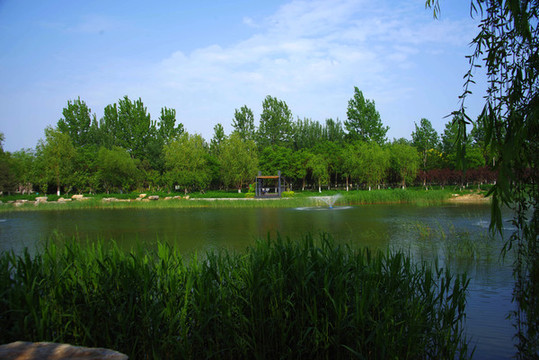 大興孫村公園