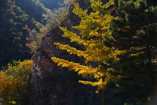 千靈山風景區(qū)