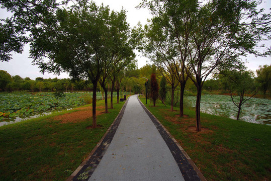 朝陽(yáng)區(qū)何里棲地公園