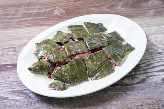 甲魚