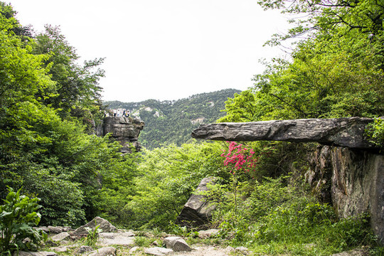 中國江西廬山錦繡谷天橋