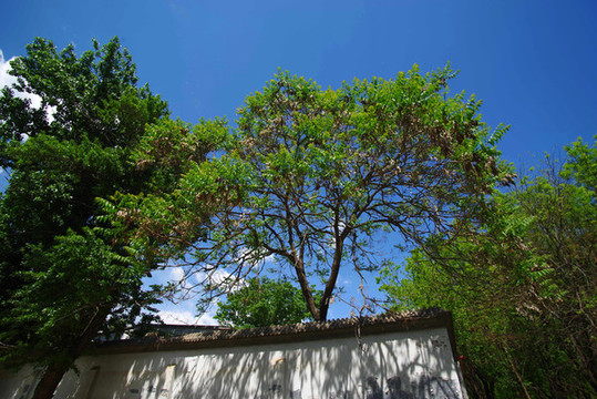 朝陽區(qū)鎮(zhèn)海寺城市公園