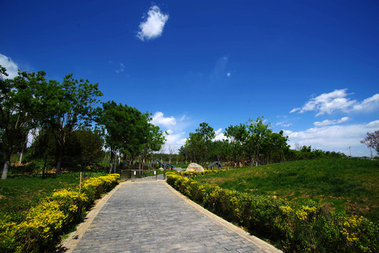 朝陽區(qū)鎮(zhèn)海寺城市公園