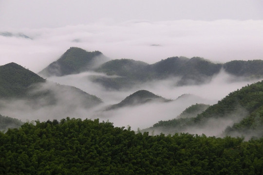 云山霧海