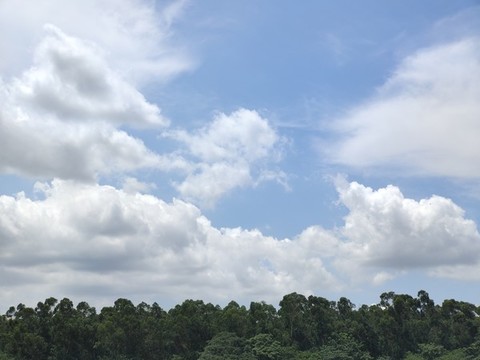藍(lán)天白云