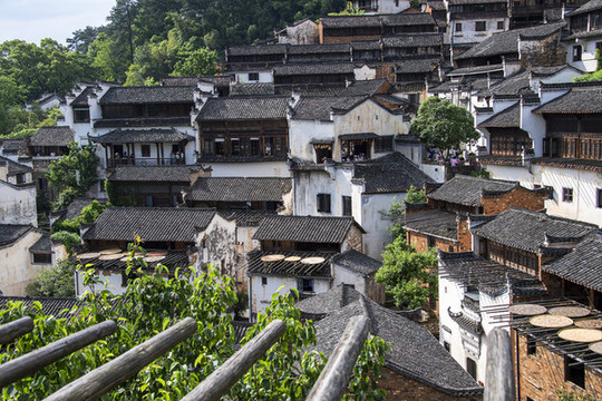 中國(guó)江西婺源篁嶺曬秋