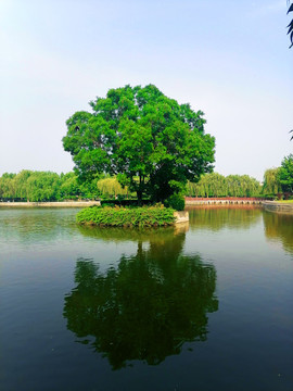 公園美景