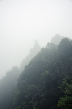 雨霧中的江西三清山女神峰