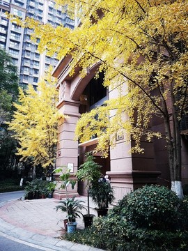 小區(qū)風(fēng)光