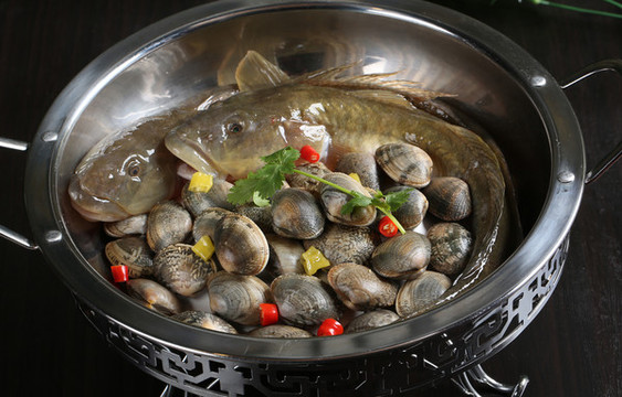 花蛤魚