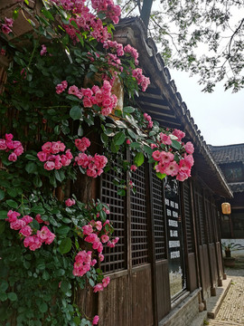 周莊逸飛之家