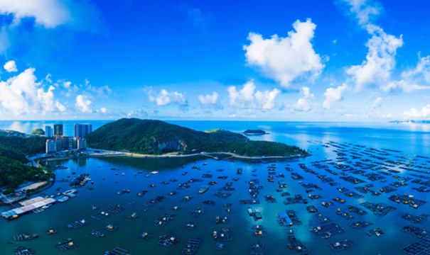 廣東陽江閘坡國家級中心漁港