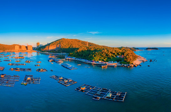 廣東陽(yáng)江閘坡國(guó)家級(jí)中心漁港