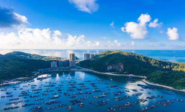 廣東陽江閘坡國(guó)家級(jí)中心漁港