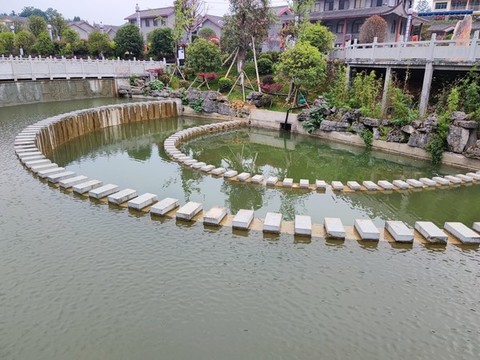 荷花池