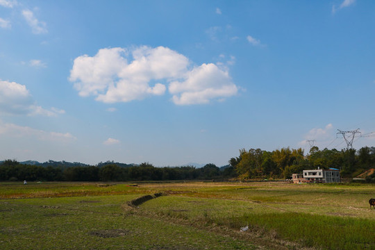 藍(lán)天白云