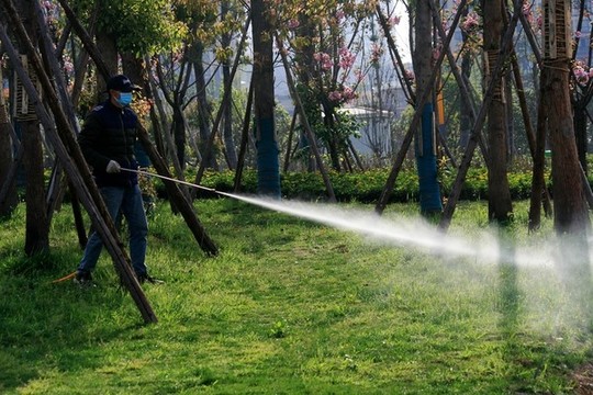 澆水