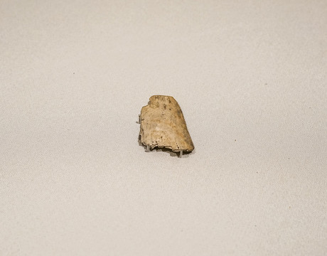 商武丁甲骨文