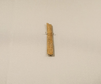 商武丁甲骨文