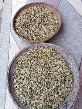 涼嗮豌豆