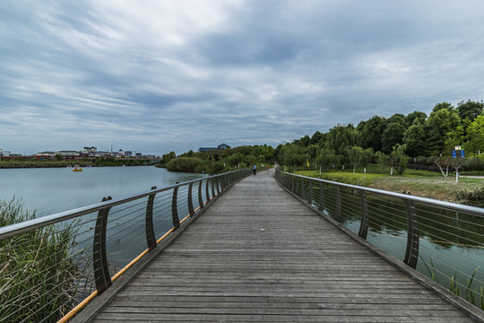 綿陽小枧濕地公園