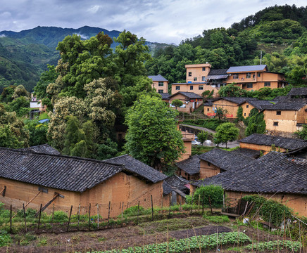 楊家堂村