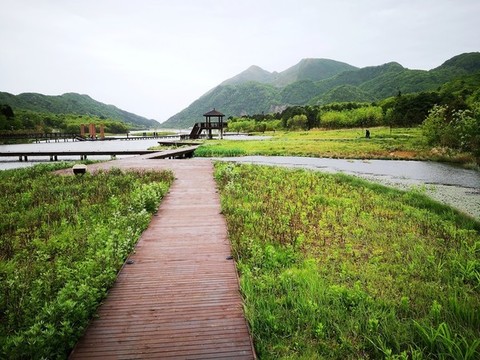 濕地公園