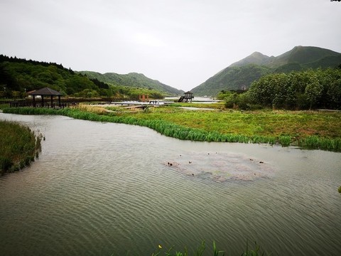 高山濕地