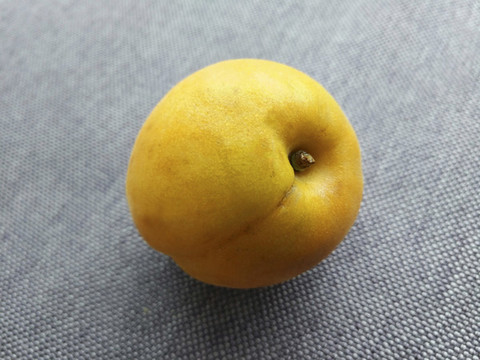 黃杏一個(gè)