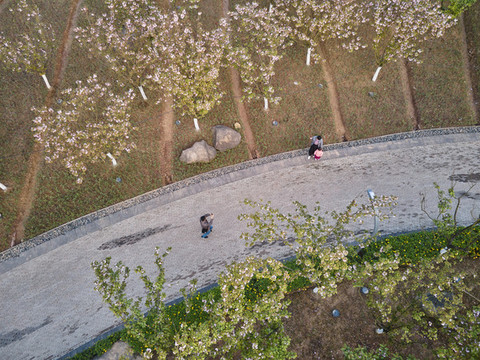 公園