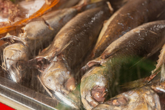 魚飯