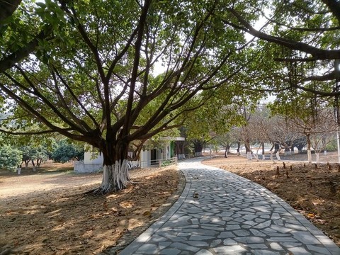 公園小路