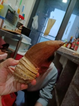 春筍冬筍新鮮筍