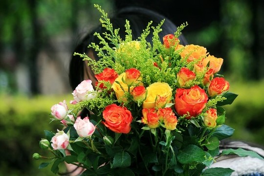 玫瑰花