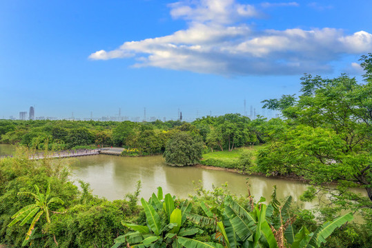 海珠濕地公園