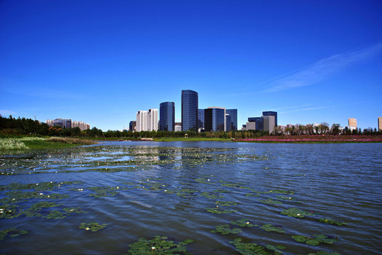 大興區(qū)通明湖公園