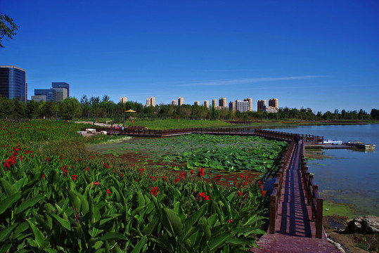 大興區(qū)通明湖公園