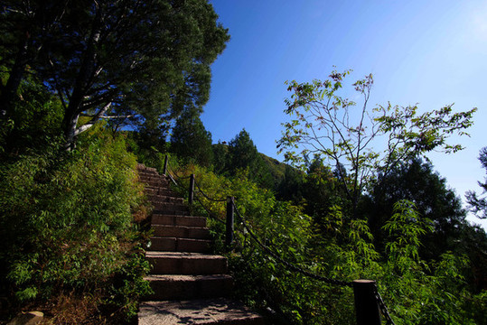 昌平區(qū)蟒山國(guó)家森林公園