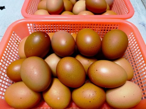 雞蛋
