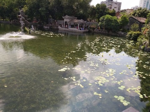 景觀園林