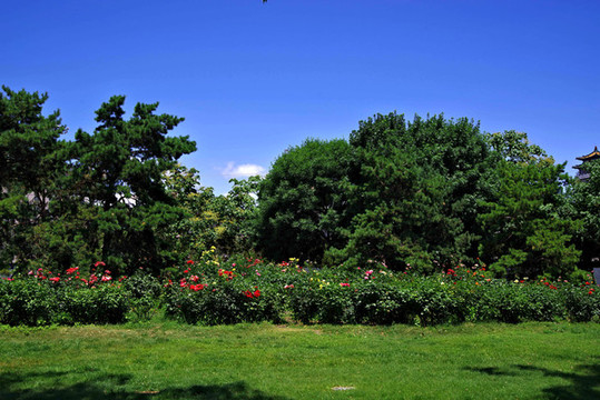 豐臺(tái)區(qū)蓮花池公園