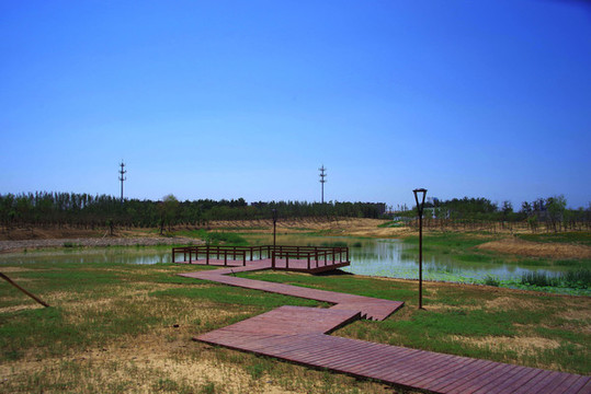 朝陽(yáng)區(qū)黑橋公園