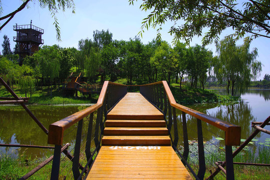 北京東郊濕地公園
