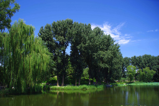 圓明園遺址公園