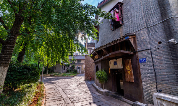 長沙白果園