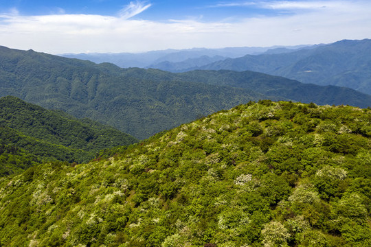 高山航拍