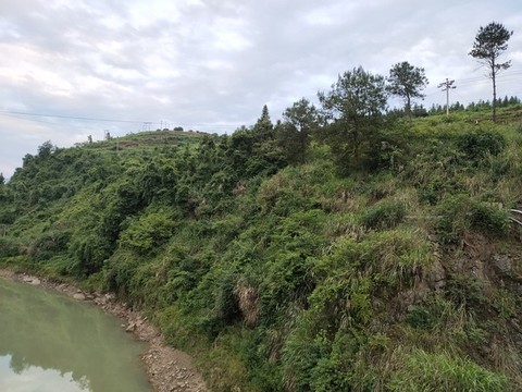河流與綠植
