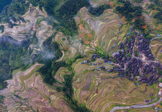 灌水期的貴州加榜梯田景色